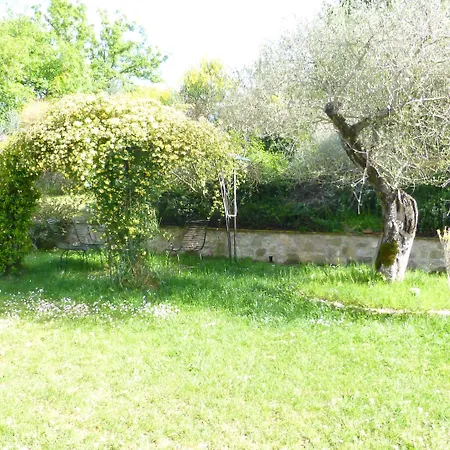 Assisi Dal Poggio Bettona